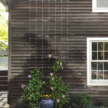 Rear yard