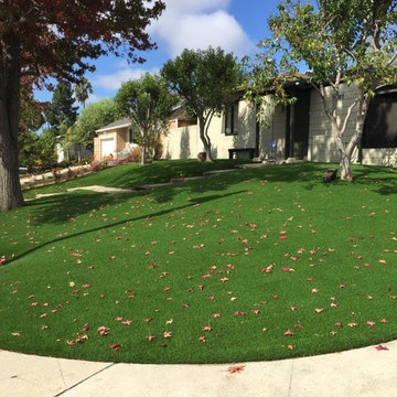 Artificial Grass