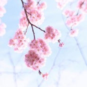 Foto von Roi Feng
