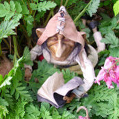 pauline hunt's photo