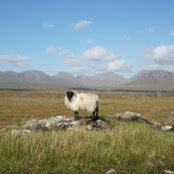 Tonia de Launay's photo