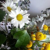 Beril Bulucu's photo