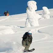 Matt Johnson's photo