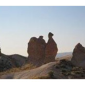 Elena Crapuzzi's photo