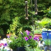 Susan Anderson-Schweitzer's photo