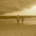 michael_webster
