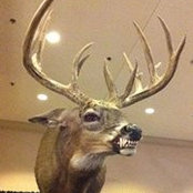 Brian Terryさんの写真