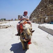 Steve Bowers's photo