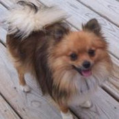 Stephanie Tolson's photo