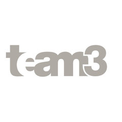 team3