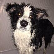 Steph Bond's photo
