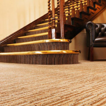 Captivating Carpet