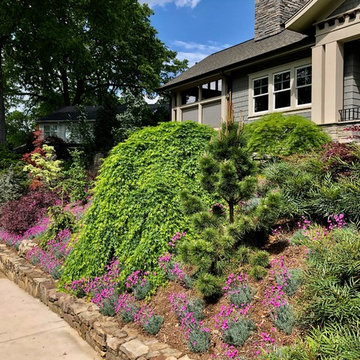 Hillside Reno.