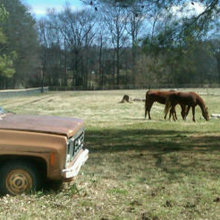 Horse Farm