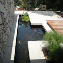 Koi Pond