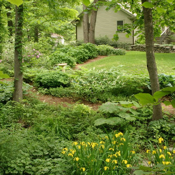 romantischer Waldgarten neben einem kleinen Bach