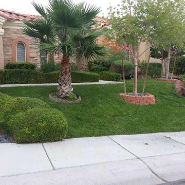 Our Work