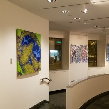 Installation of the American Association for the Advancement of Science Art Show