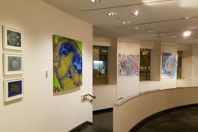 Installation of the American Association for the Advancement of Science Art Show