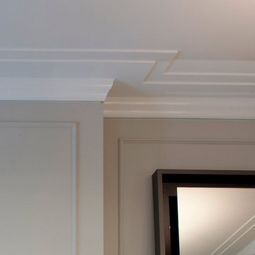 Crown Molding Detail Closeup - Reveal