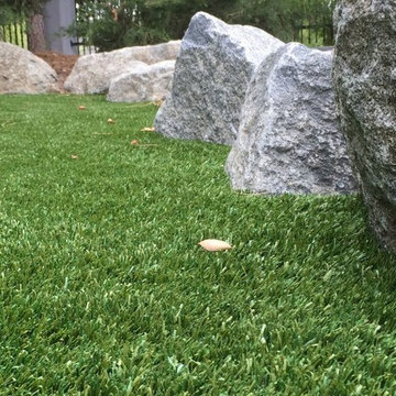 Artificial Grass
