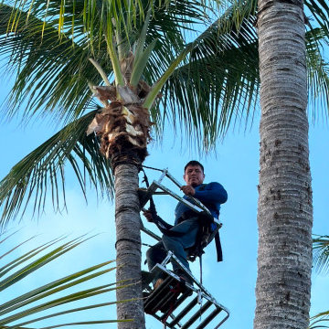 Make your outdoor space cleaner, greener, and easier to maintain.