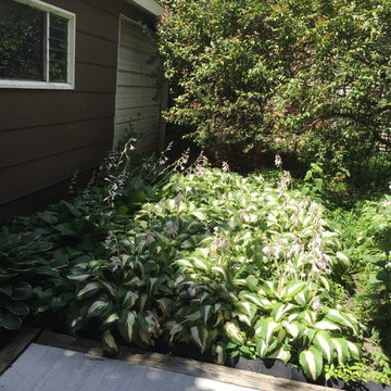 Columbia Garden Makeover