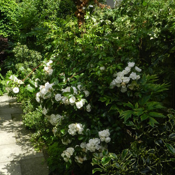 Cottage Gardens