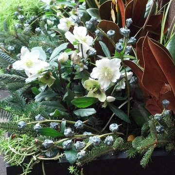 Christmas window boxes in Brooklyn