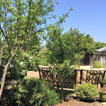 Cowles mountain view back yard retreat