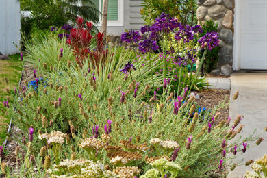 Photo of a landscaping in San Diego.