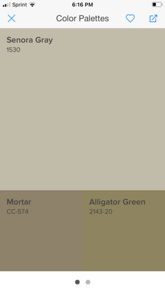 Alligator Green 2143-20