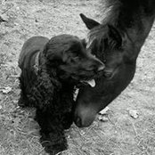 Rebecca Attwater's photo