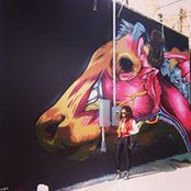 Photo de Temi Hollist