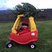 Rosanne Casale Bolsar's photo