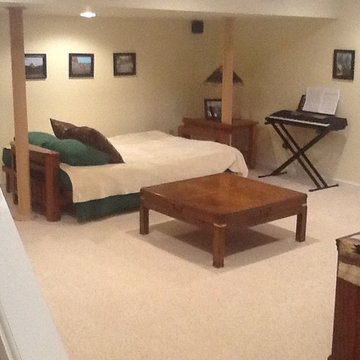 Morristown Basement - Skyline Drive