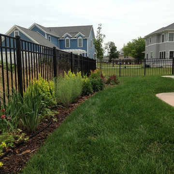 Sungold Pillar Barberry alternates with varied perennials
