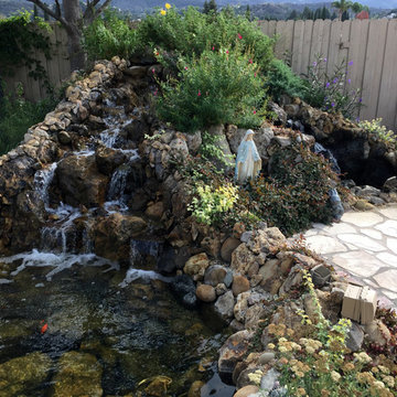 Well Lit Pond