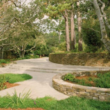 back yards
