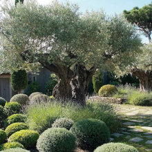 Jardin ESPOSITO