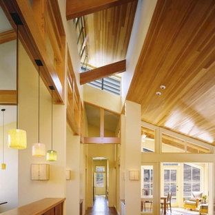 Low Vaulted Ceiling Houzz