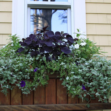 Seasonal Container Plantings & Changeovers