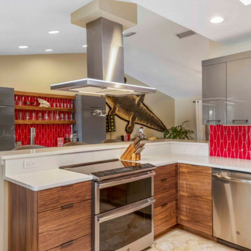 Mid Century Modern Kitchen and Bar