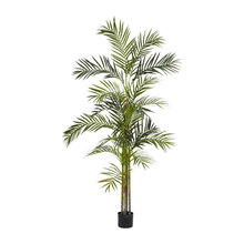 silk plants
