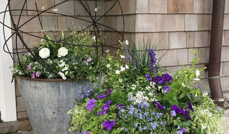 13 Summer Container Gardens From Houzz Readers