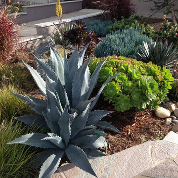Modern Garden