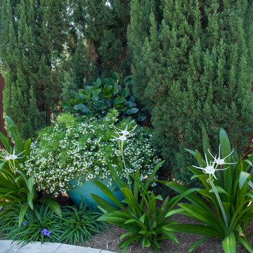 Family Friendly Backyard Getaway
