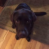 Jane Nawrocki's photo