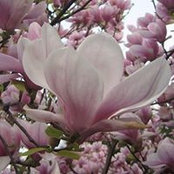 Kat Dodane's photo