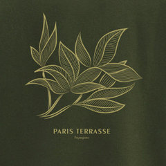 Paris Terrasse / Paysagistes Paris